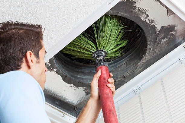 Best Mold and Mildew Removal from Ducts in Hudson, IA